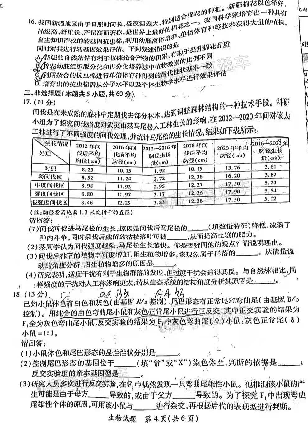 2024澳门开奖结果出来｜最新答案解释落实