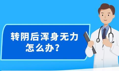 新澳精准资料免费公开｜全新答案解释落实