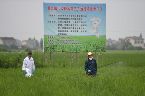 今晚必出三肖｜实地调研解析支持