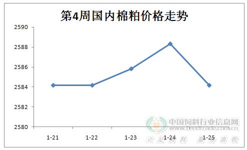 2024年12月18日 第23页