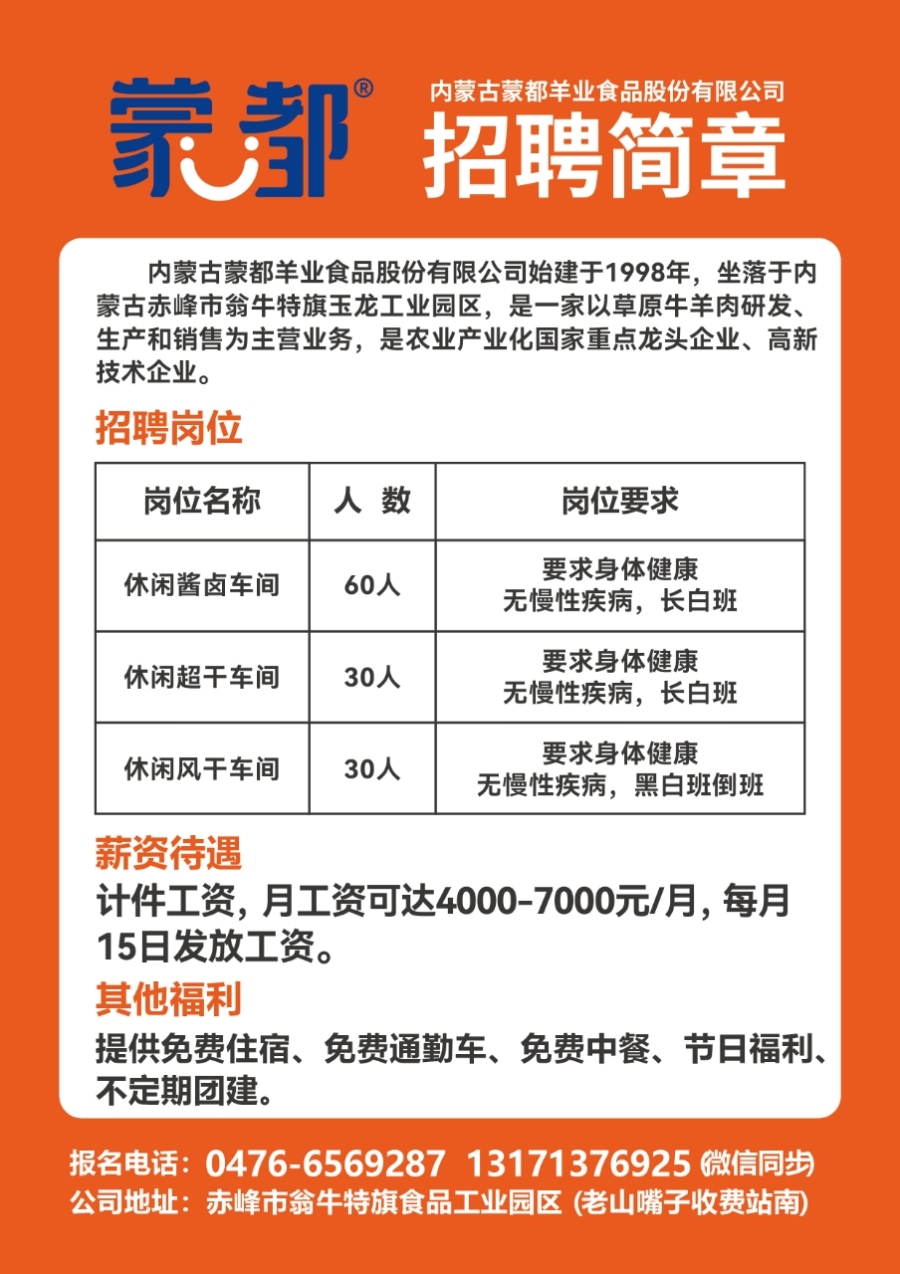 最新肥东招聘动态与求职指南速递