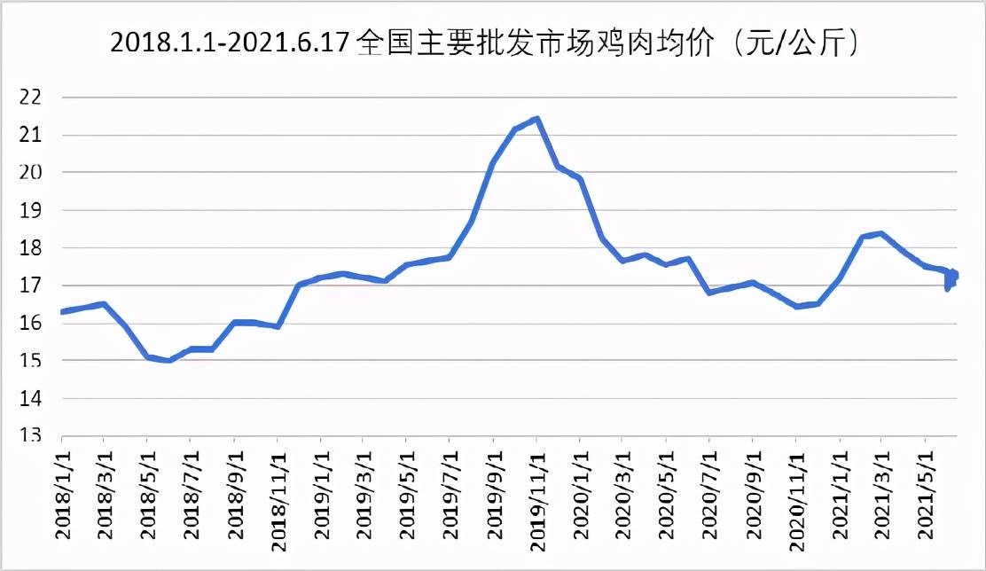 鸡肉市场最新动态，价格走势分析与预测报告