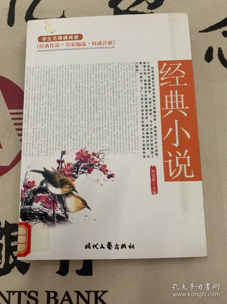 最新经典小说，文学疆界的探索之旅