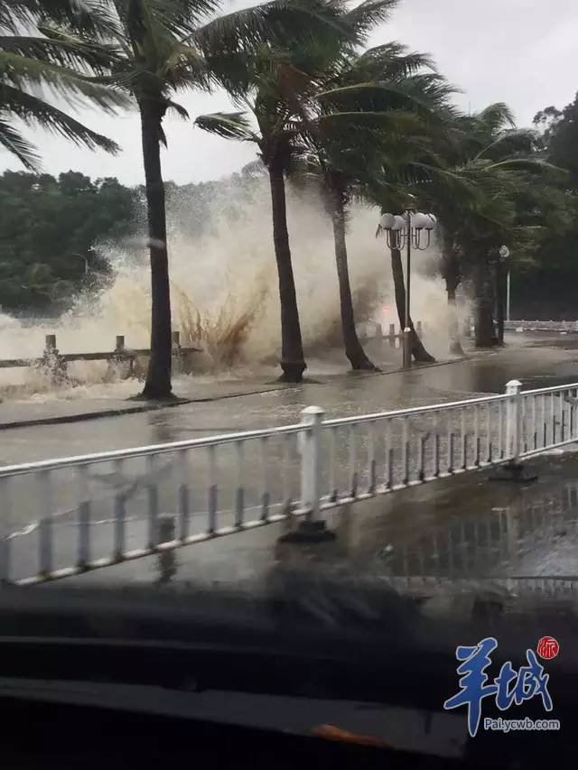 珠海台风最新动态更新报告