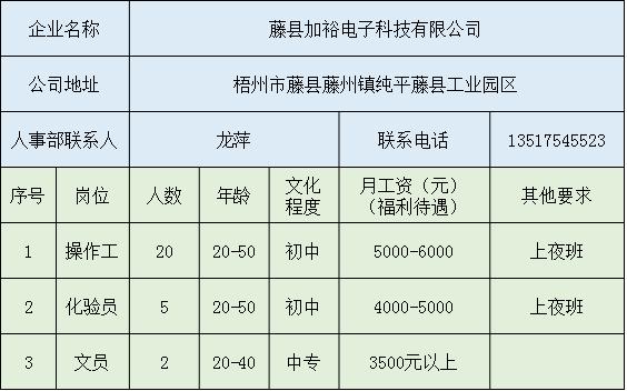 藤县最新招聘信息全面解析