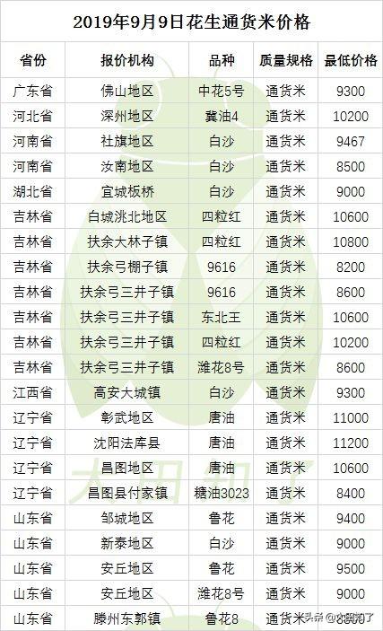 山东花生今日最新价格分析