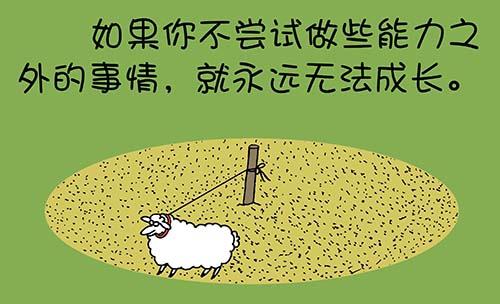 探索人生无限可能的最新哲理启示