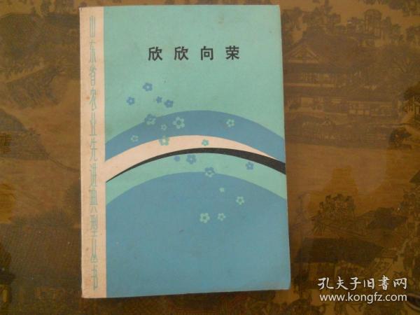 欣欣如松新作，城市之光